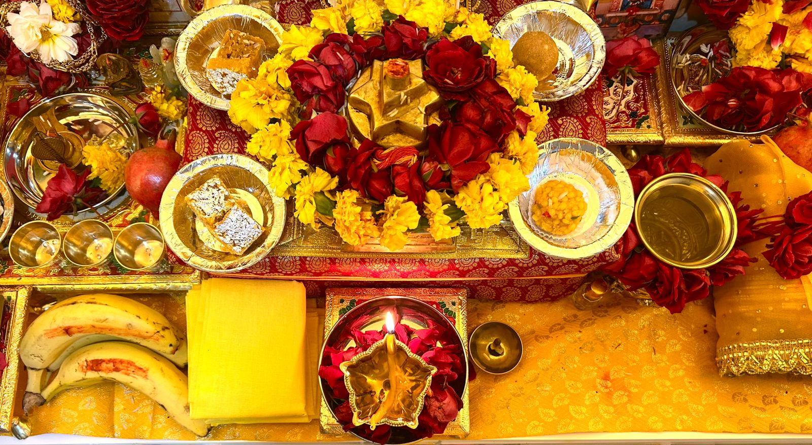 WhatsApp Image 2026-01-20 at 11.38.30 AM.jpeg